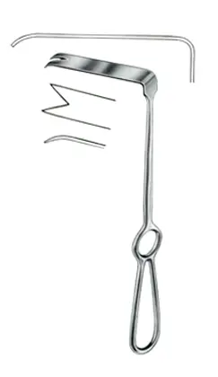 11-0622-02-1 Ramus