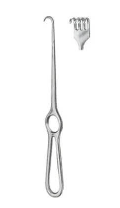 11-288-04 Volkmann Blunt