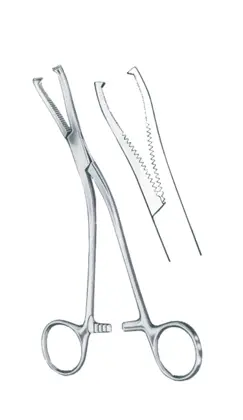 15-0700-19 Dingmann Bone Holding Fcp