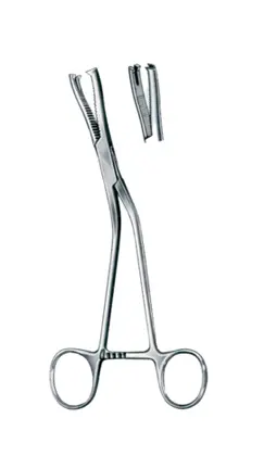 15-0702-19 Dingmann-Modif Bone Holding Fcp