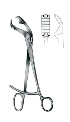 15-0758-26 Verburgge Bone Holding Fcp