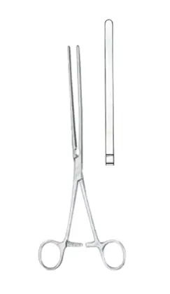 19-0094-25 Scudder