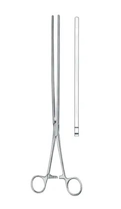 19-0172-33 Scudder