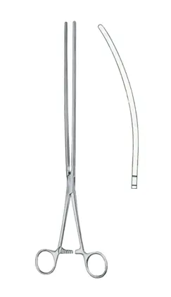 19-0173-33 Scudder