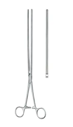 19-0176-33 Scudder