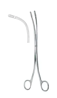 20-0034-02 Randall