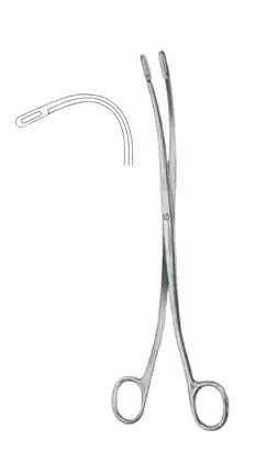 20-0034-03 Randall