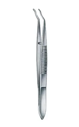 24-1023-10 Elschnig