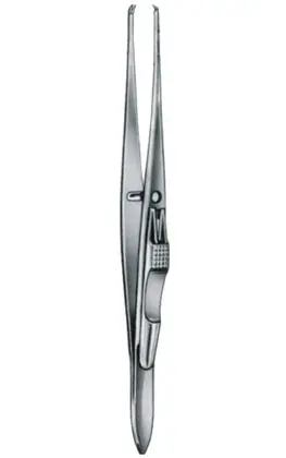 24-1136-11 Elschnig