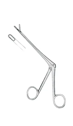 25-0492-04 Schlesinger
