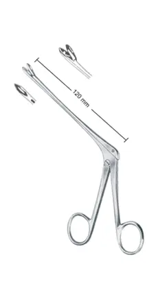 25-0510-01-1 Weil-Blackesley
