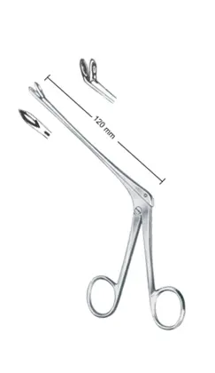 25-0512-02-1 Weil-Blackesley