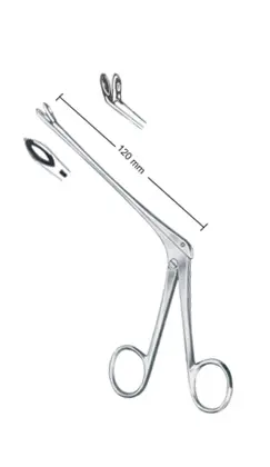 25-0512-03-1 Weil-Blackesley