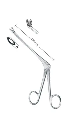 25-0512-04-2 Weil-Blackesley