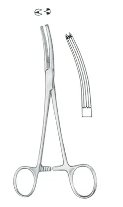 9-0556-19 Long